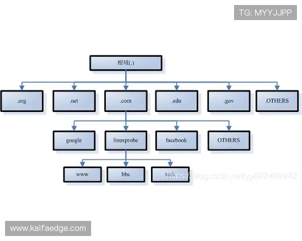 PA国际厅官网：最新版本使用指南与常见问题解答详解