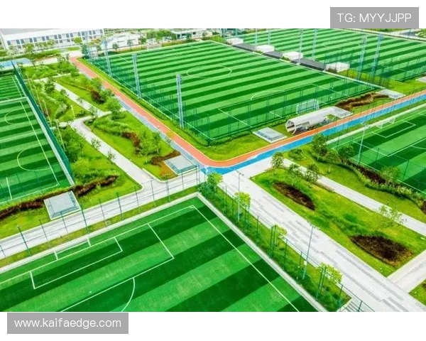 凯发体育平台首页登录入口安全可靠，助您轻松畅享体育赛事直播体验