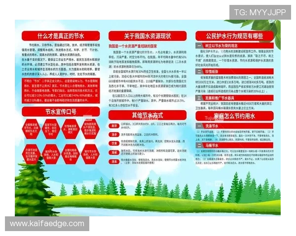 K8凯发国际登录入口的优势与特色功能全面介绍帮助用户充分利用平台资源